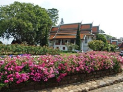 CNX Phuping temp